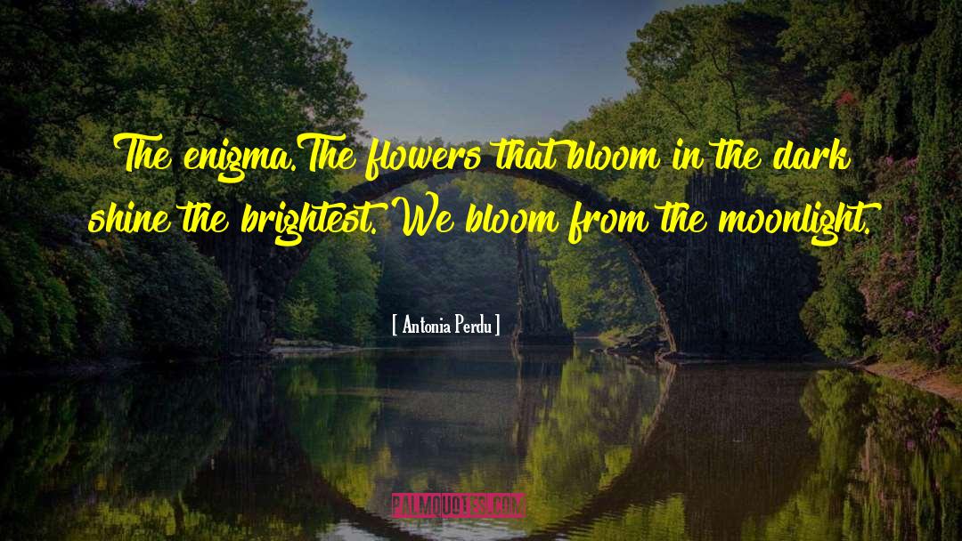 Antonia Perdu Quotes: The enigma.<br>The flowers that bloom