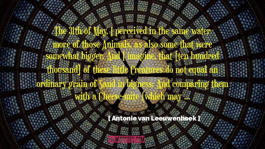 Antonie Van Leeuwenhoek Quotes: The 31th of May, I