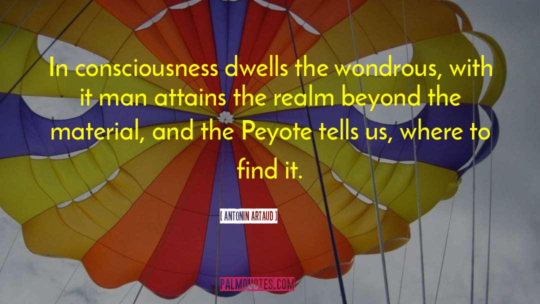 Antonin Artaud Quotes: In consciousness dwells the wondrous,