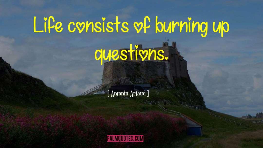 Antonin Artaud Quotes: Life consists of burning up