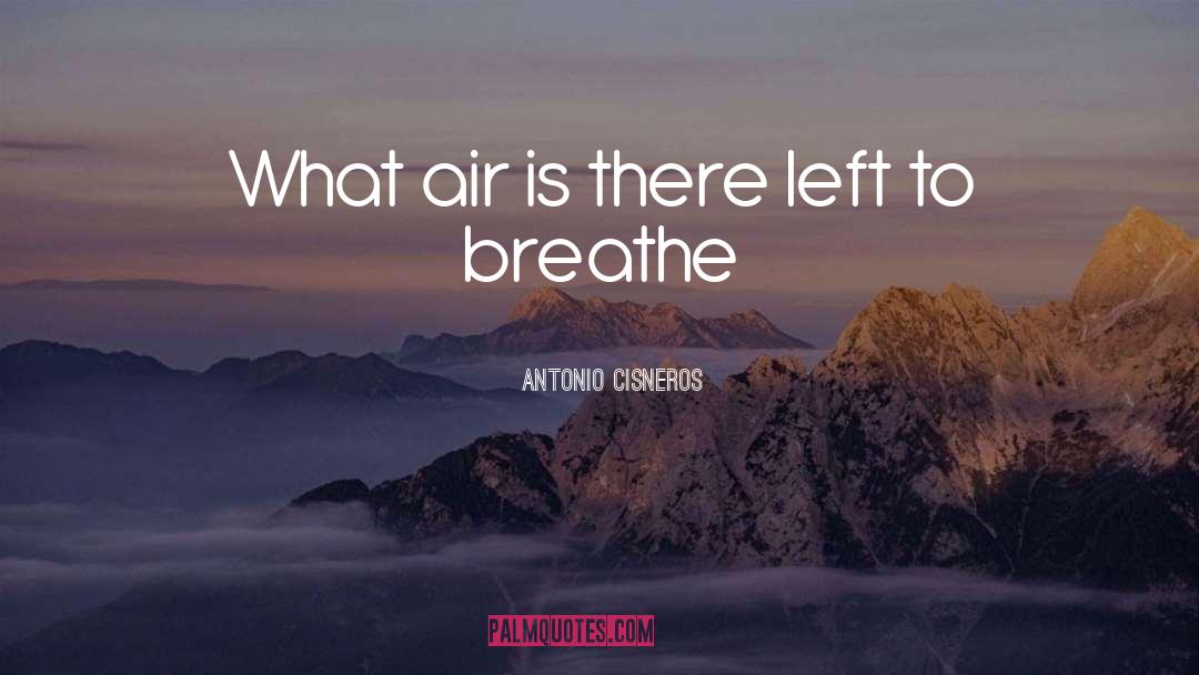 Antonio Cisneros Quotes: What air is there left