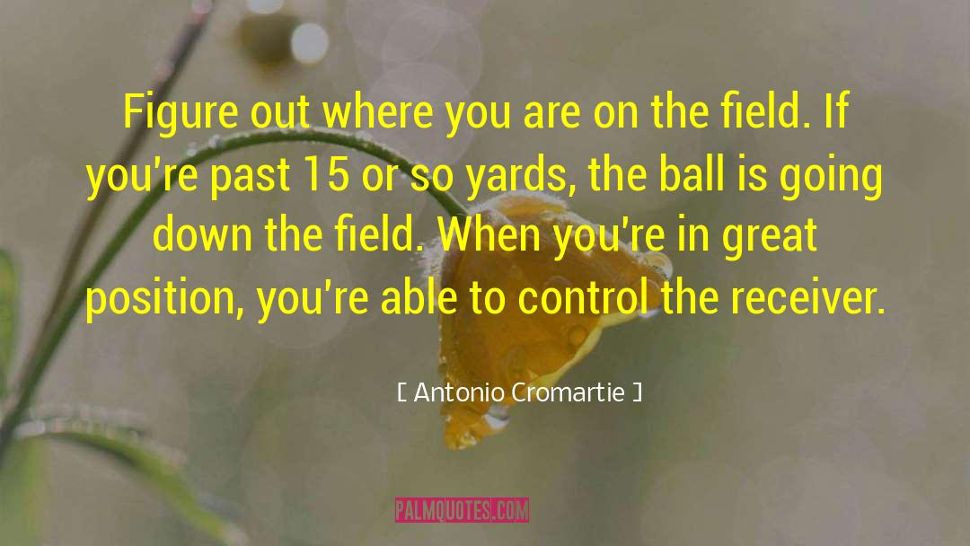 Antonio Cromartie Quotes: Figure out where you are
