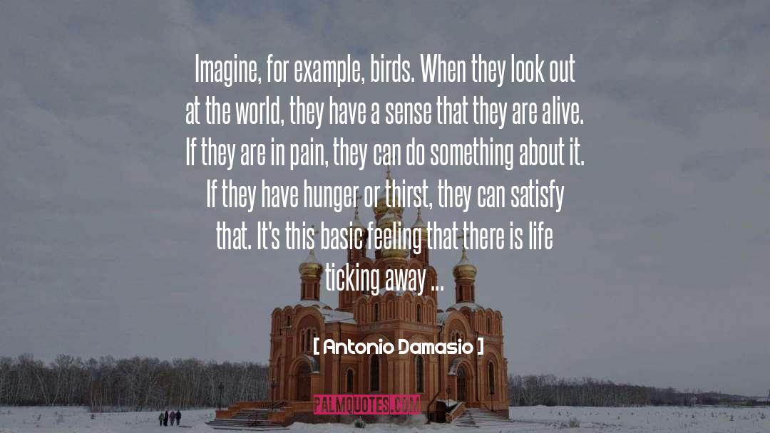 Antonio Damasio Quotes: Imagine, for example, birds. When
