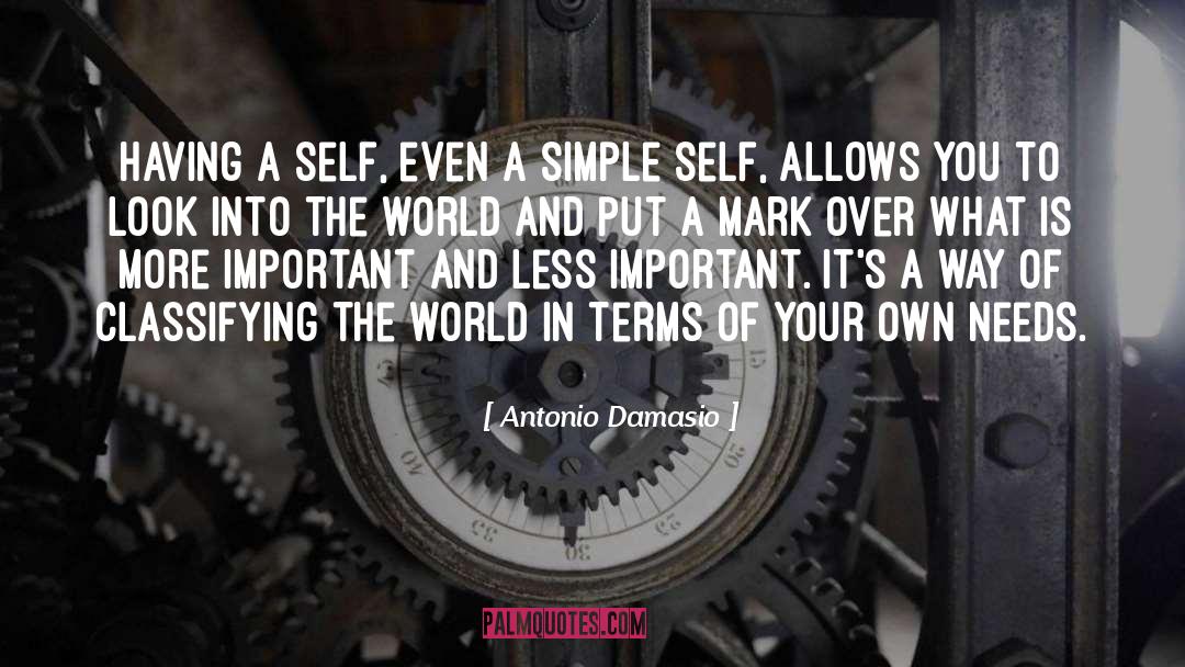 Antonio Damasio Quotes: Having a self, even a