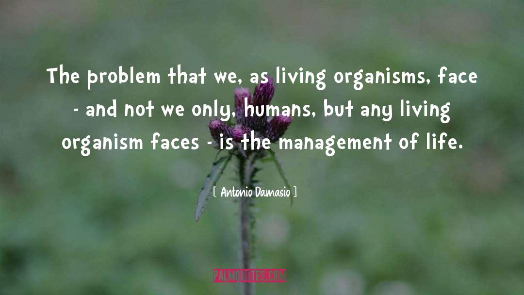 Antonio Damasio Quotes: The problem that we, as