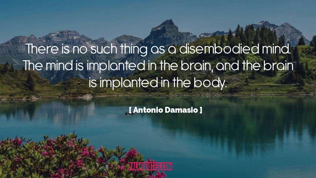 Antonio Damasio Quotes: There is no such thing