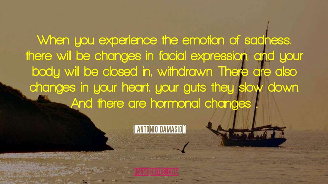 Antonio Damasio Quotes: When you experience the emotion