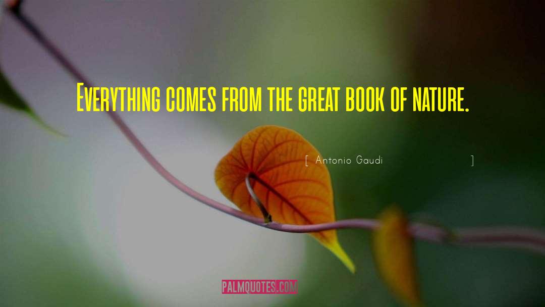 Antonio Gaudi Quotes: Everything comes from the great