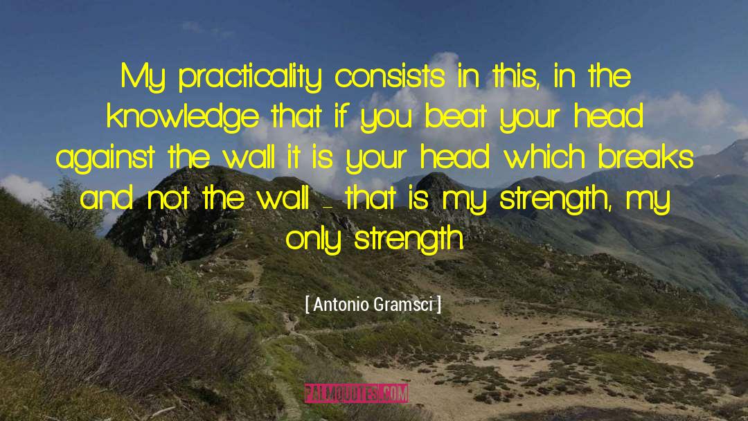 Antonio Gramsci Quotes: My practicality consists in this,