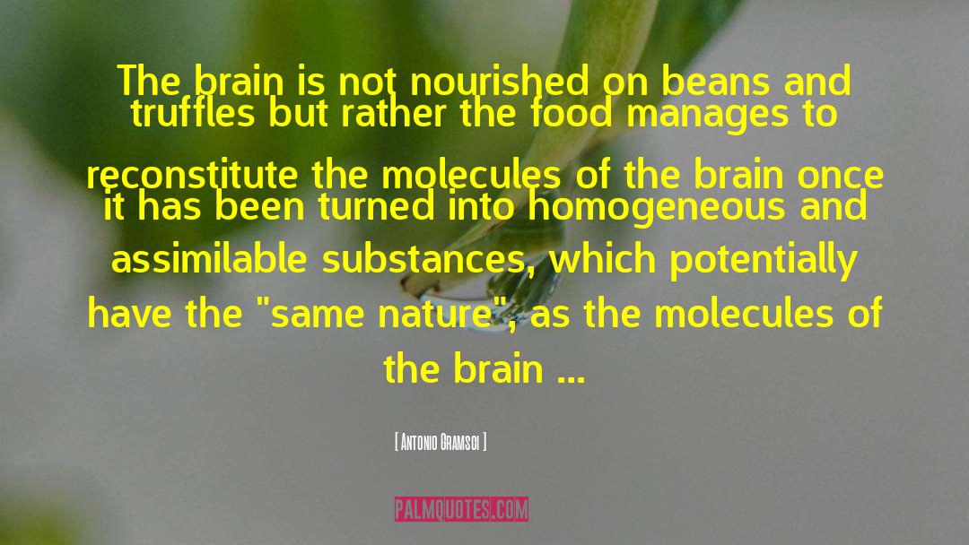Antonio Gramsci Quotes: The brain is not nourished