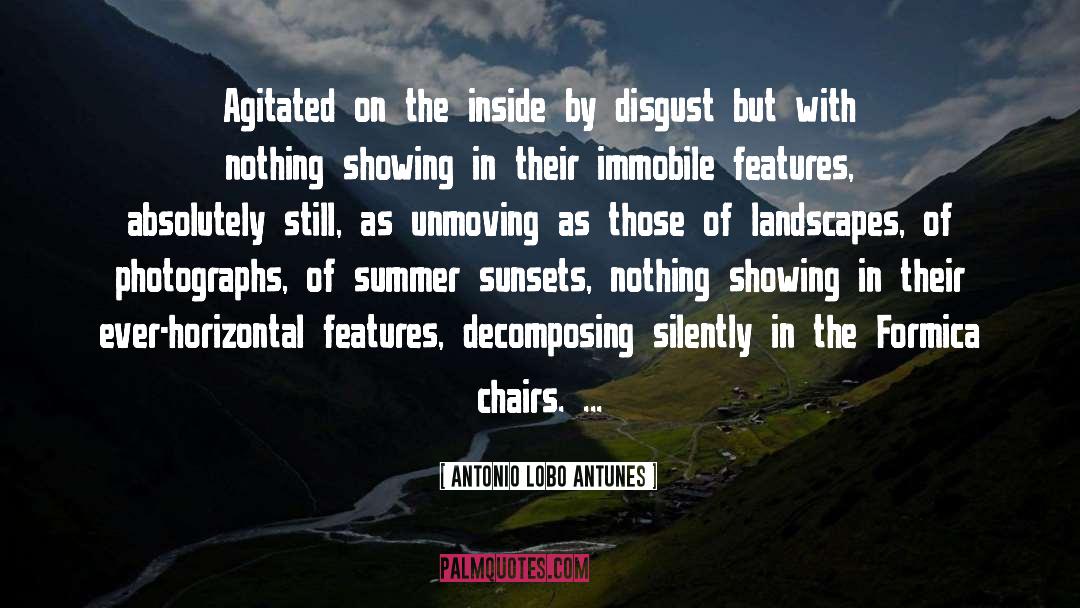 Antonio Lobo Antunes Quotes: Agitated on the inside by