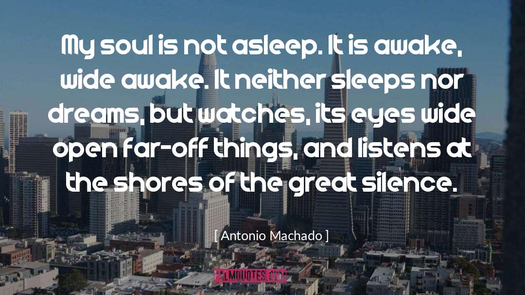 Antonio Machado Quotes: My soul is not asleep.