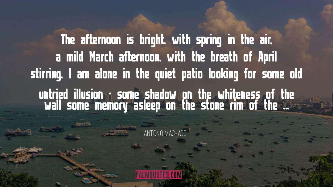 Antonio Machado Quotes: The afternoon is bright, with