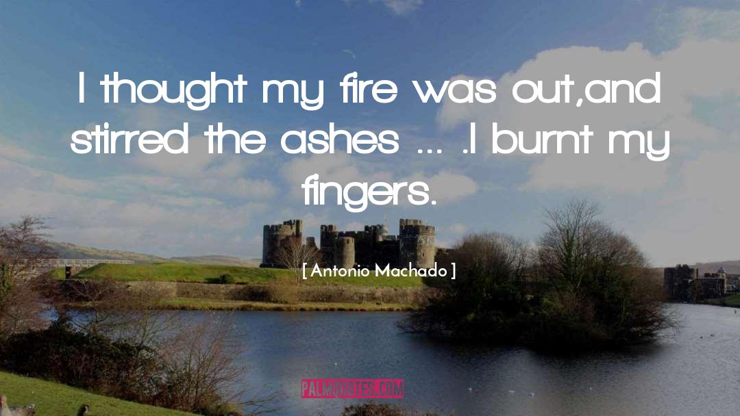 Antonio Machado Quotes: I thought my fire was