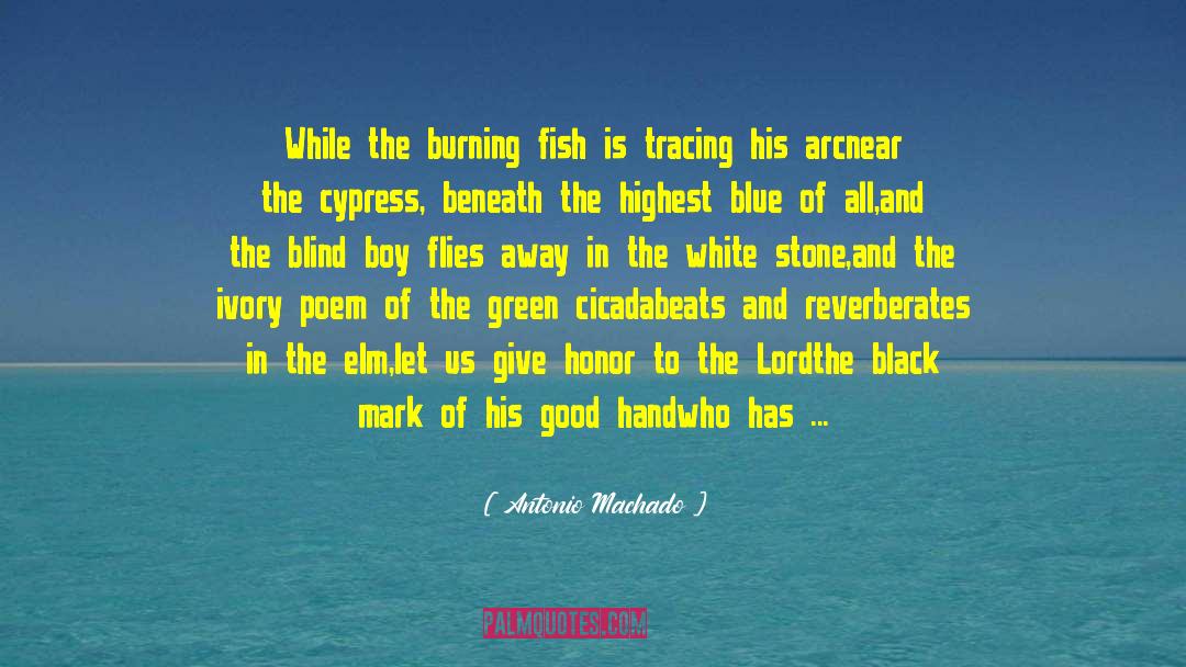Antonio Machado Quotes: While the burning fish is