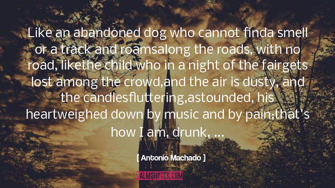 Antonio Machado Quotes: Like an abandoned dog who