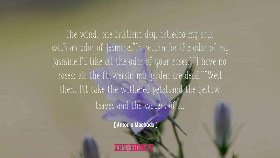 Antonio Machado Quotes: The wind, one brilliant day,