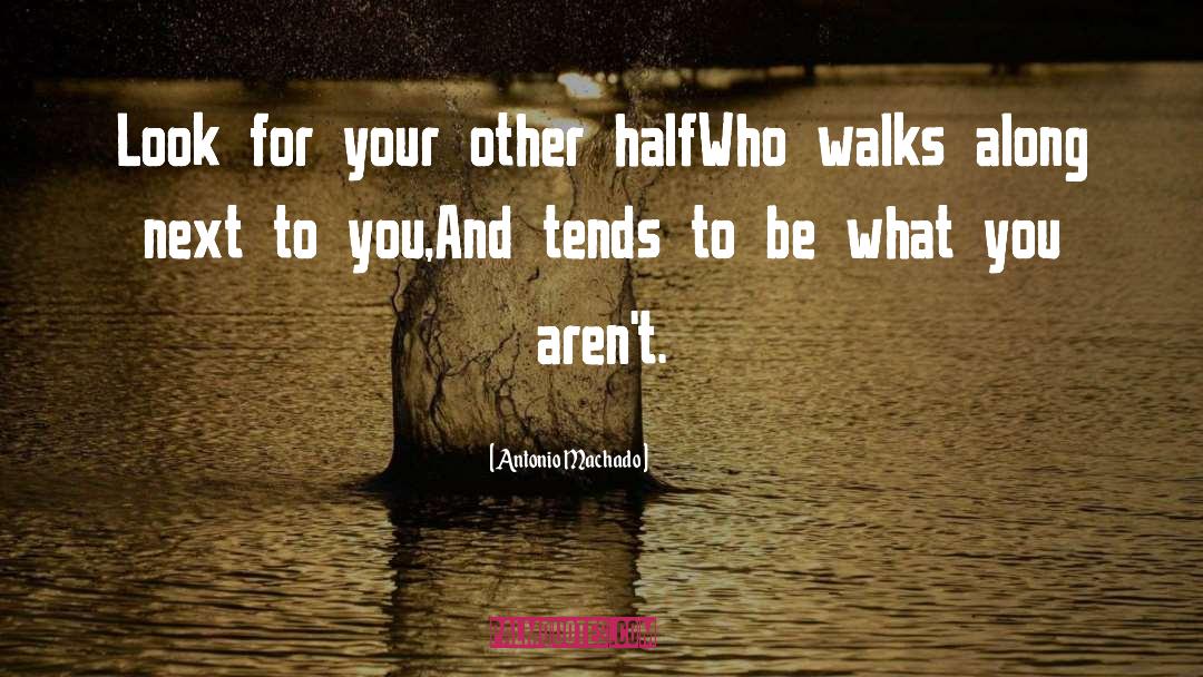 Antonio Machado Quotes: Look for your other half<br>Who