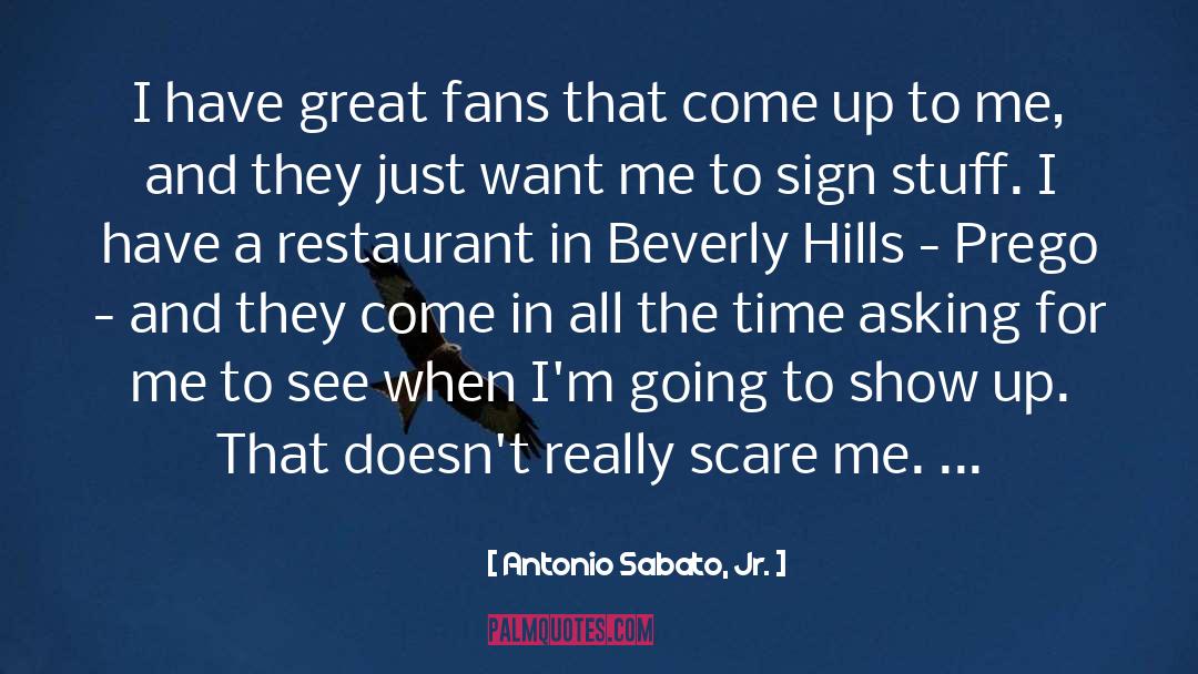 Antonio Sabato, Jr. Quotes: I have great fans that