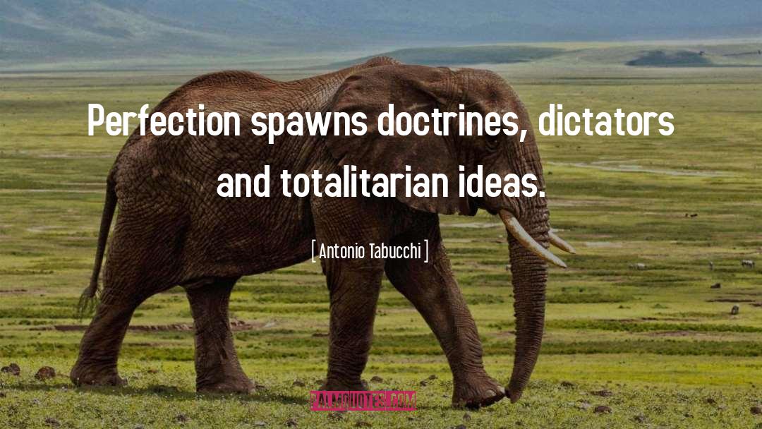 Antonio Tabucchi Quotes: Perfection spawns doctrines, dictators and