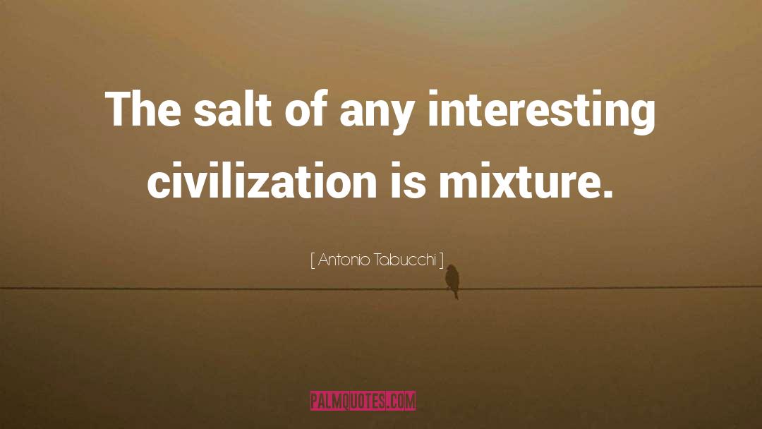 Antonio Tabucchi Quotes: The salt of any interesting