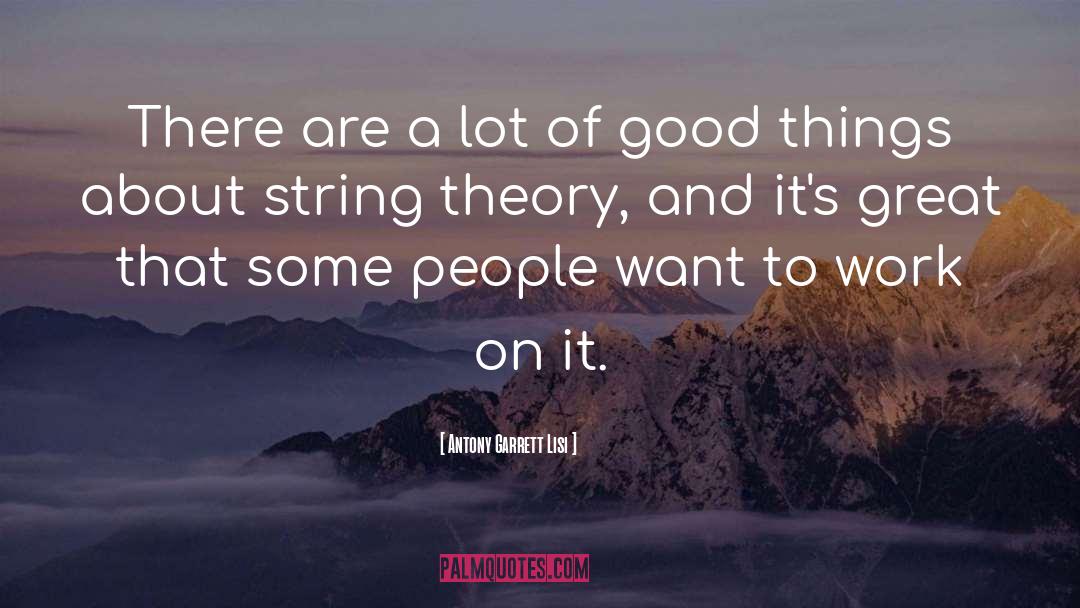 Antony Garrett Lisi Quotes: There are a lot of