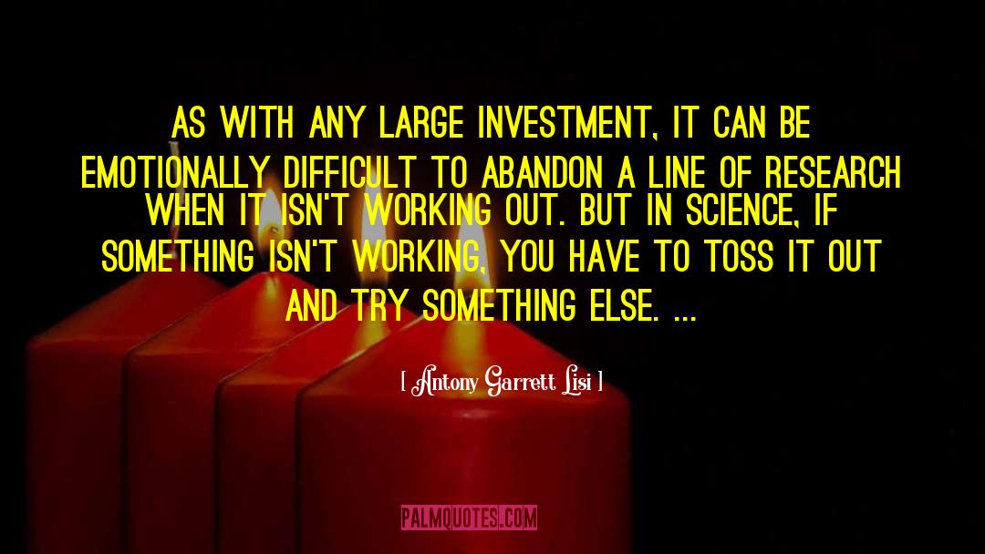 Antony Garrett Lisi Quotes: As with any large investment,