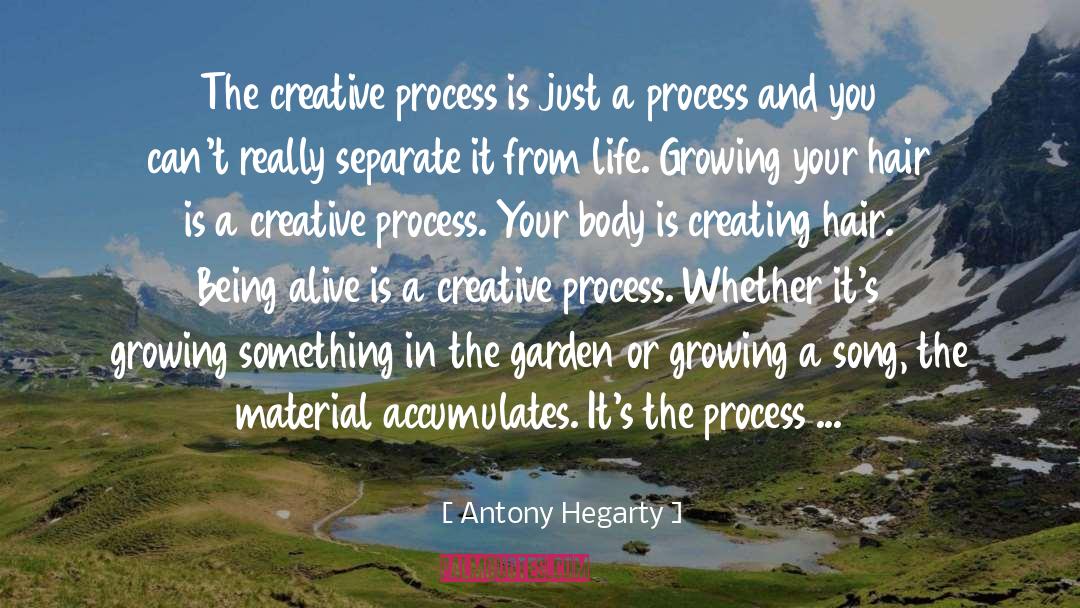 Antony Hegarty Quotes: The creative process is just