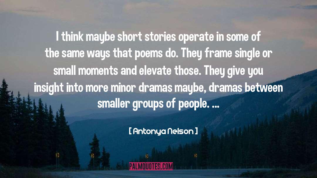 Antonya Nelson Quotes: I think maybe short stories