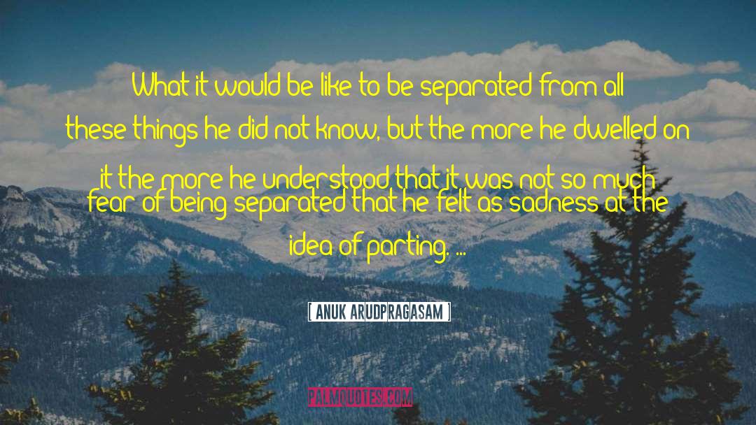 Anuk Arudpragasam Quotes: What it would be like