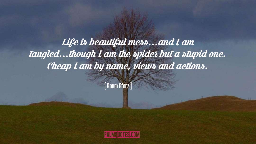 Anum Aforz Quotes: Life is beautiful mess...and I