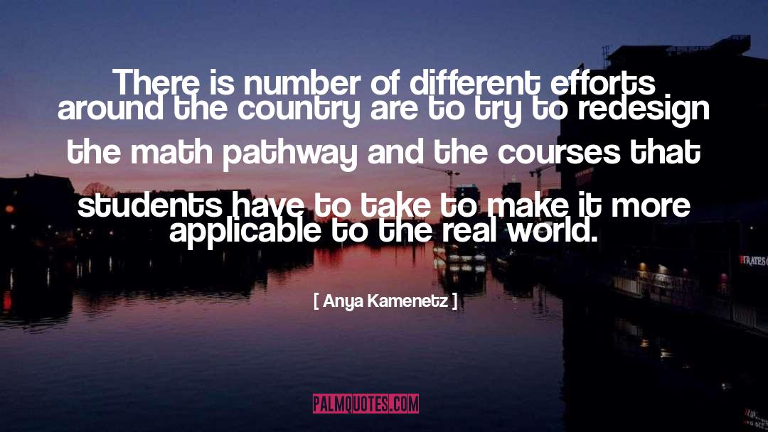 Anya Kamenetz Quotes: There is number of different