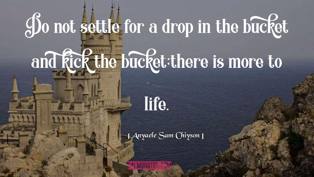 Anyaele Sam Chiyson Quotes: Do not settle for a