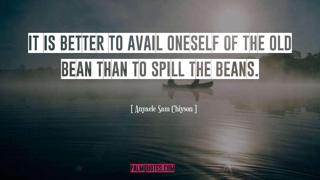 Anyaele Sam Chiyson Quotes: It is better to avail