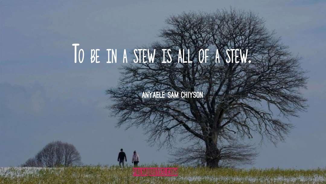 Anyaele Sam Chiyson Quotes: To be in a stew