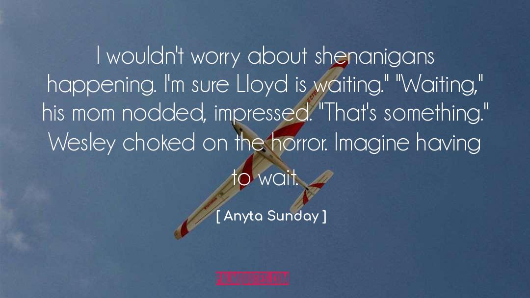 Anyta Sunday Quotes: I wouldn't worry about shenanigans