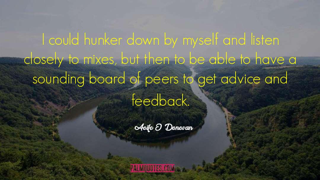 Aoife O'Donovan Quotes: I could hunker down by