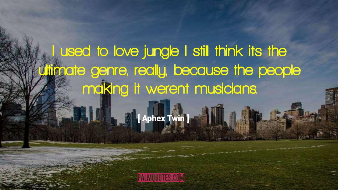 Aphex Twin Quotes: I used to love jungle.