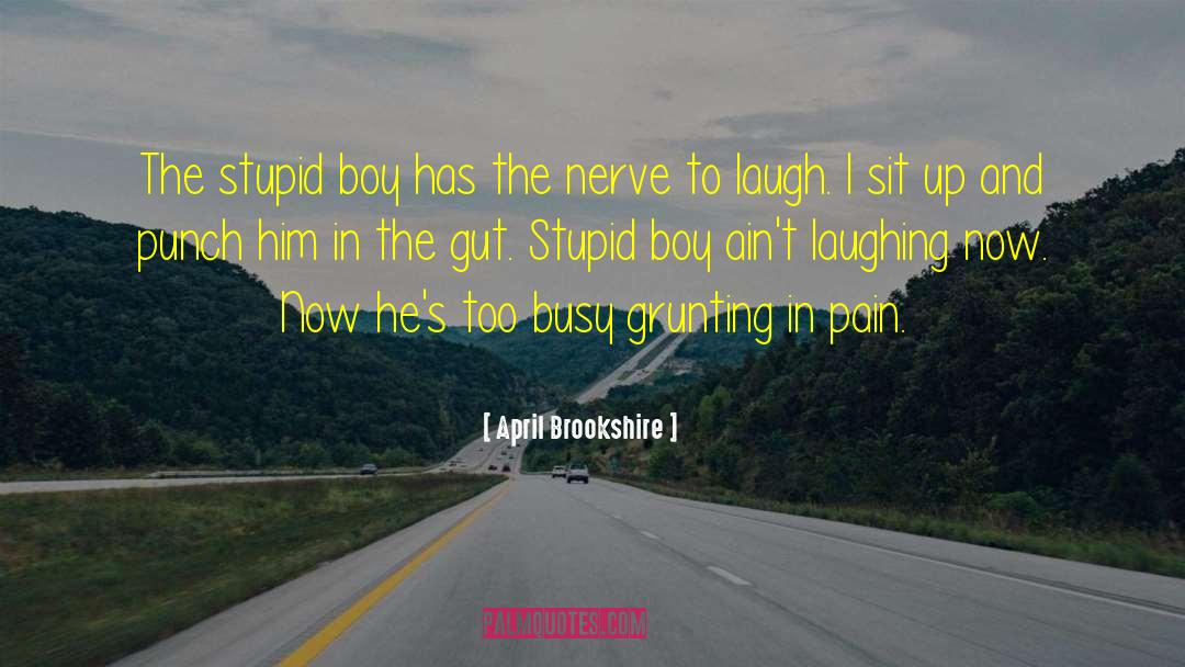 April Brookshire Quotes: The stupid boy has the