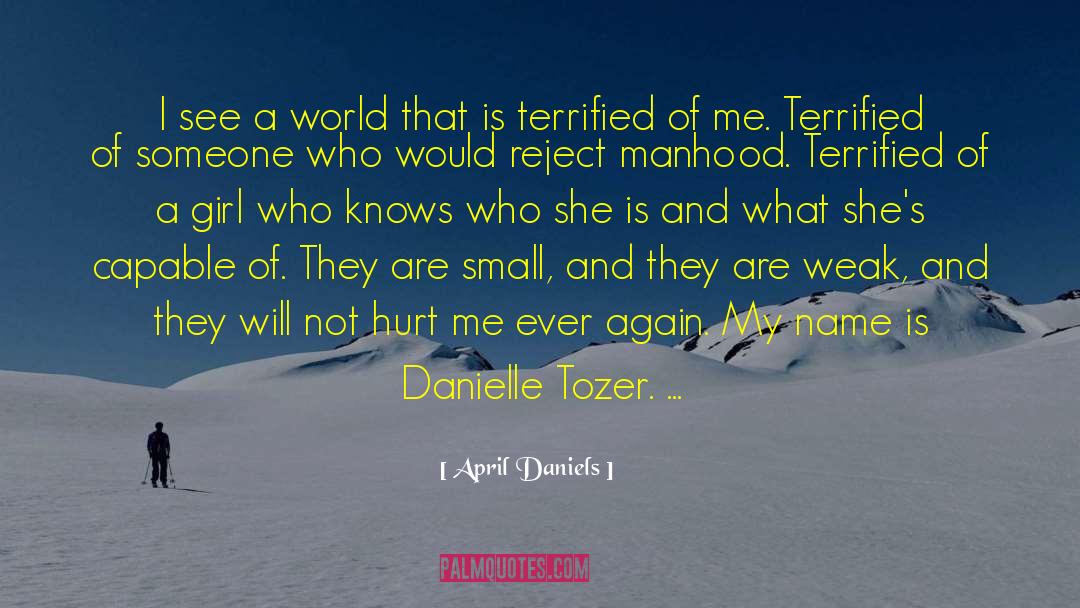 April Daniels Quotes: I see a world that