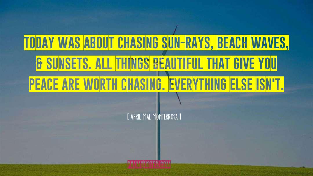 April Mae Monterrosa Quotes: Today was about chasing sun-rays,