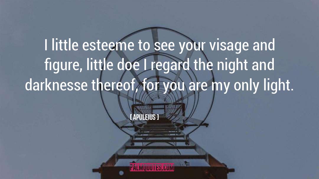 Apuleius Quotes: I little esteeme to see