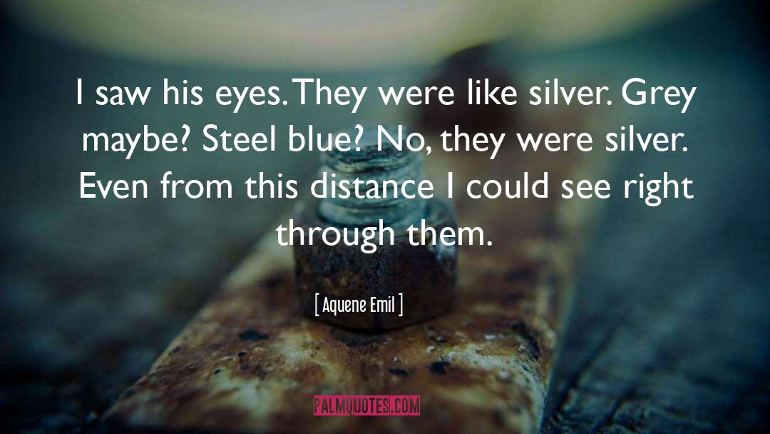 Aquene Emil Quotes: I saw his eyes. They
