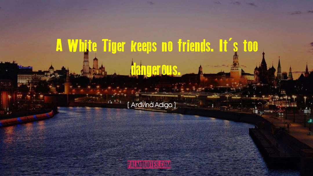 Aravind Adiga Quotes: A White Tiger keeps no