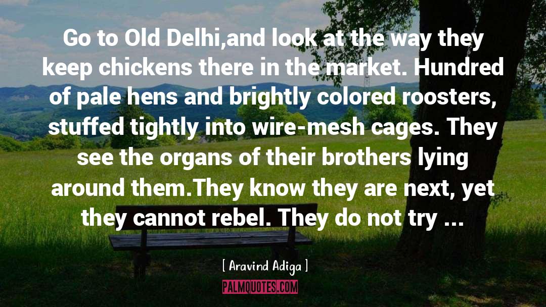 Aravind Adiga Quotes: Go to Old Delhi,and look