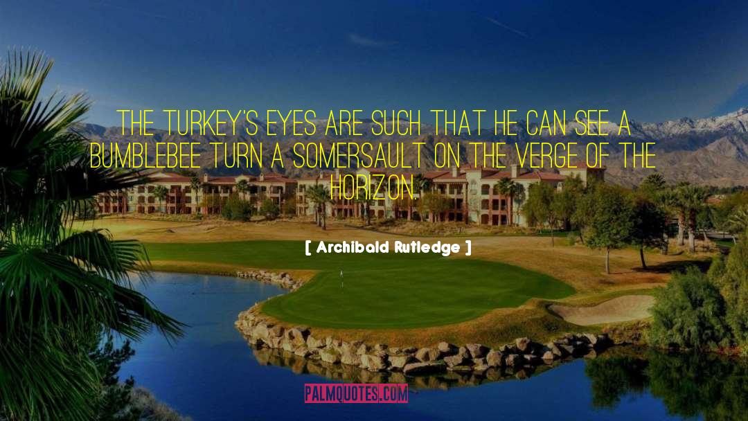 Archibald Rutledge Quotes: The turkey's eyes are such