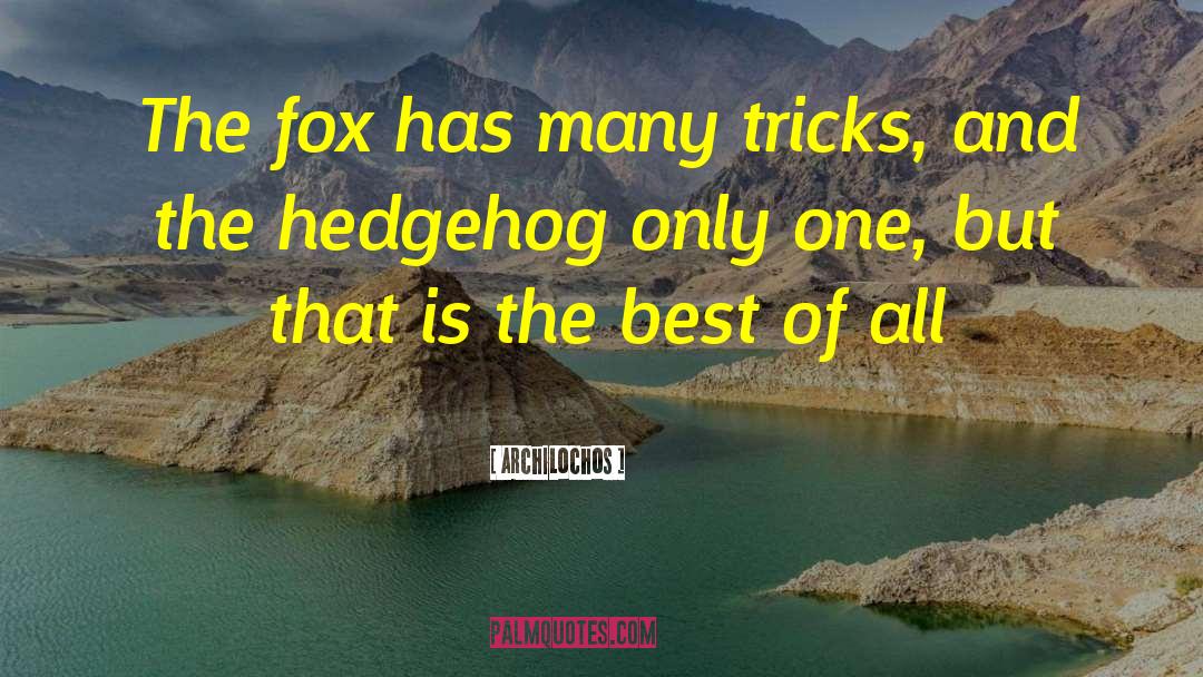 Archilochos Quotes: The fox has many tricks,