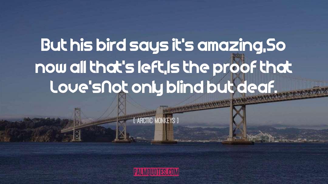 Arctic Monkeys Quotes: But his bird says it's