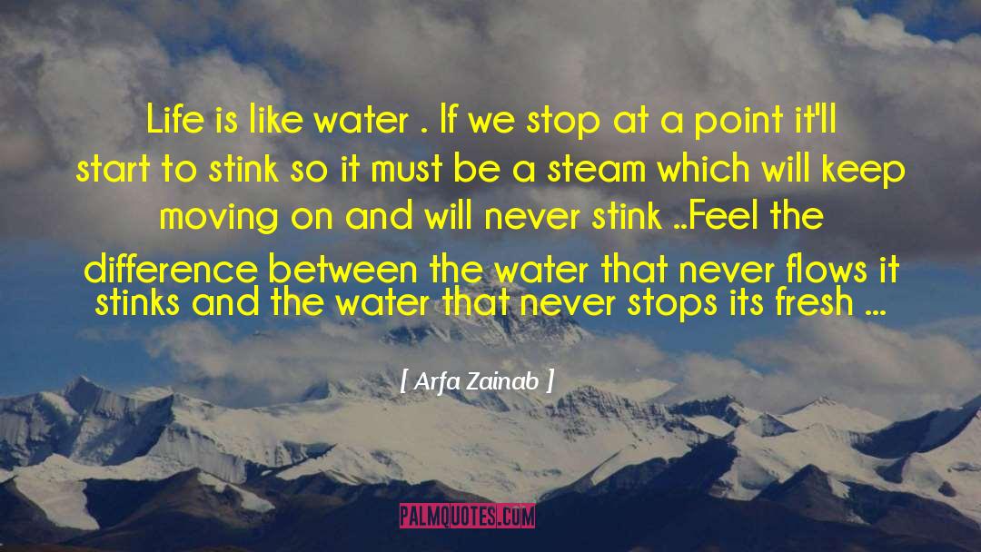 Arfa Zainab Quotes: Life is like water .
