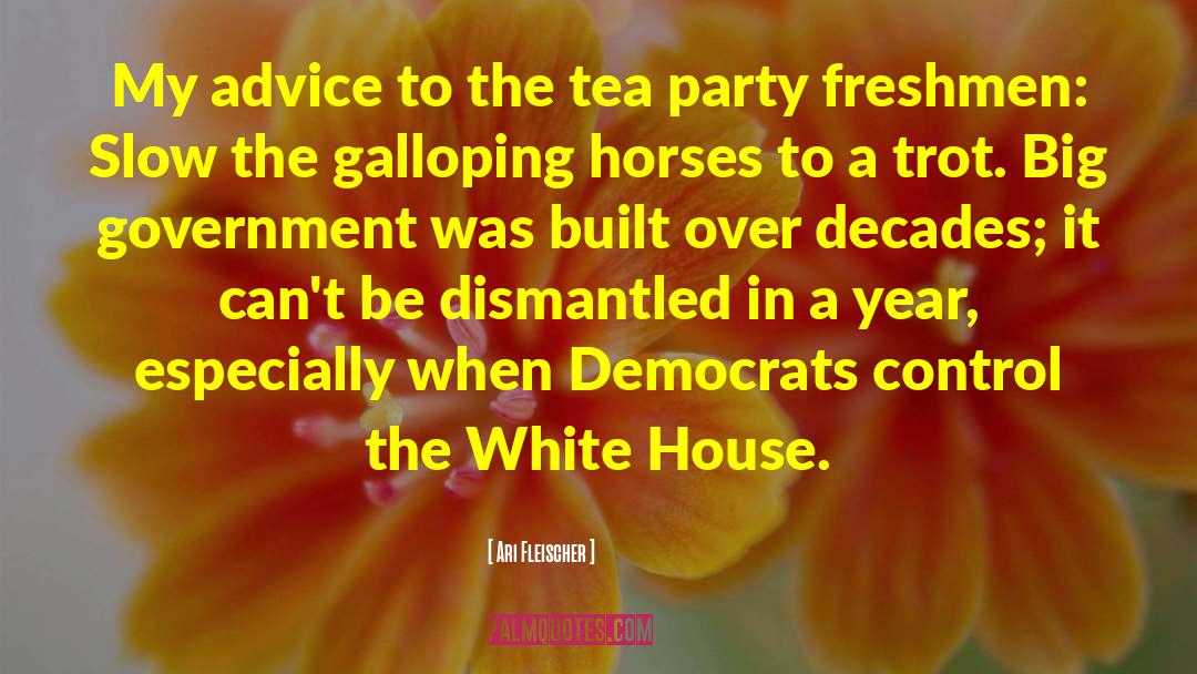 Ari Fleischer Quotes: My advice to the tea